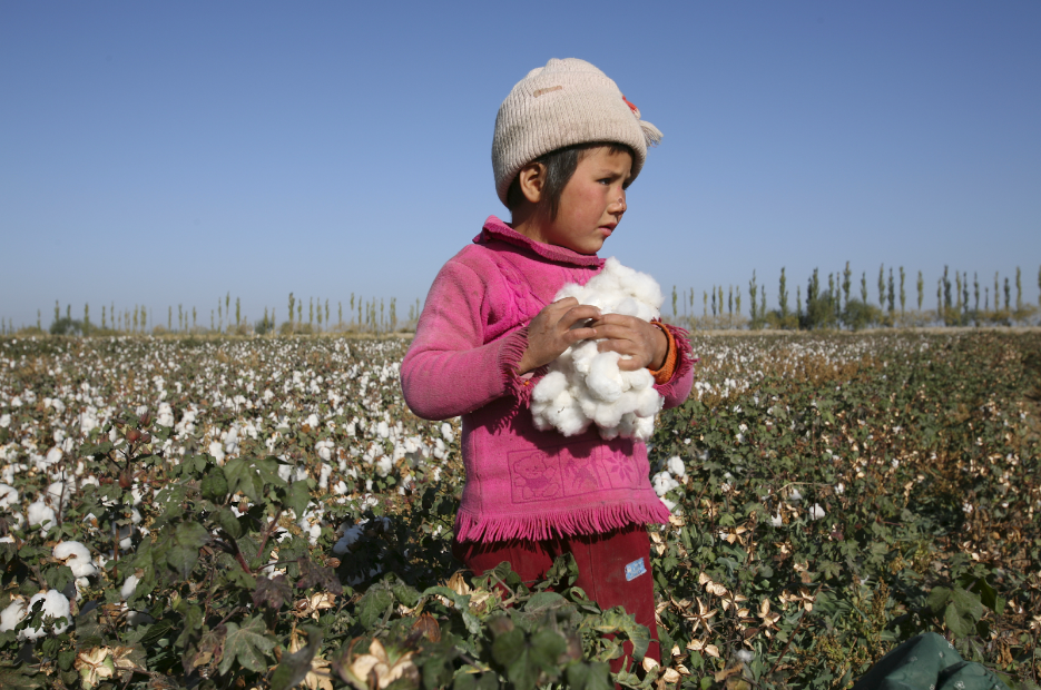 Little-girl-picking-cotton
